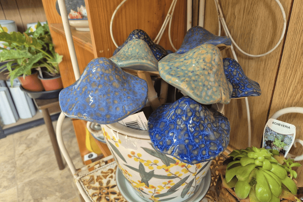 Charming garden decor